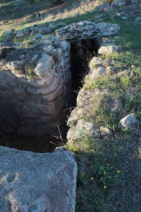 Tula: complesso megalitico di Sa Mandra Manna