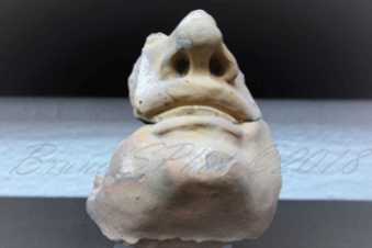 Padria - Naso, bocca e mento maschili di epoca romana