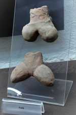 Padria - Organi genitali maschili di periodo romano